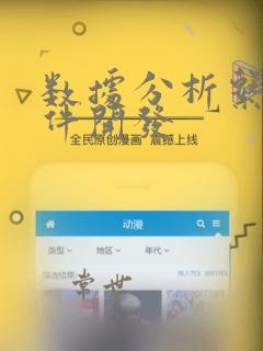 数据分析系统软件开发