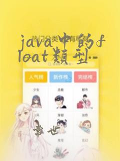 java中的float类型