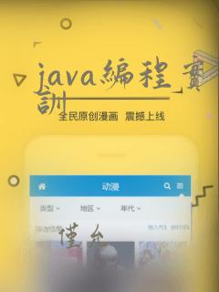 java编程实训