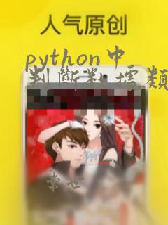 python中判断数据类型的函数