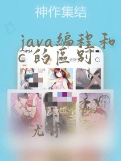 java编程和c 的区别