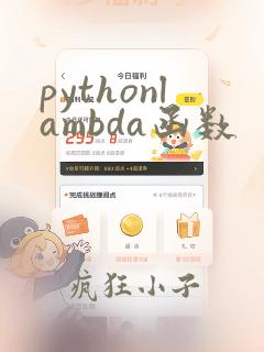 pythonlambda函数