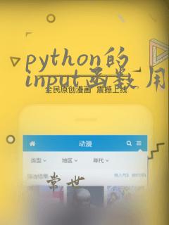 python的input函数用法