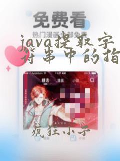 java提取字符串中的指定字符