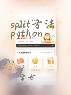 split方法python