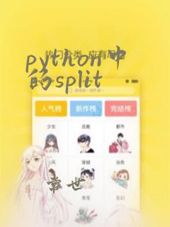 python中的split