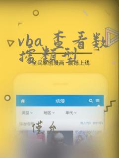 vba 查看数据类型