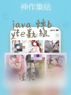 java 转byte数组