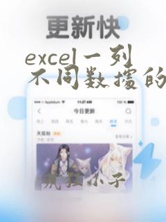 excel一列不同数据的个数