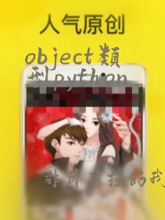 object类型python