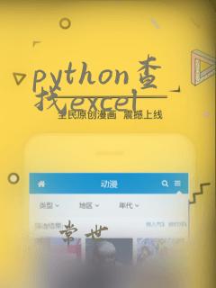 python查找excel