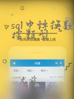 sql中转换数据类型