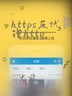 https反代理http