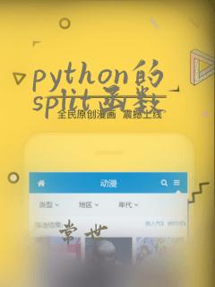 python的split函数