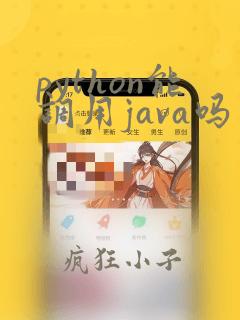 python能调用java吗