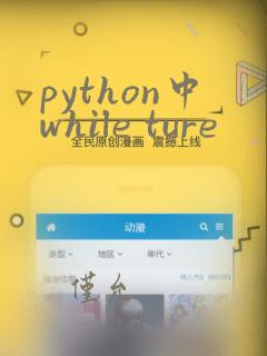 python中while ture