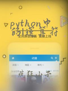 python中的|运算符