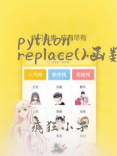 python replace()函数