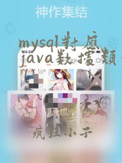 mysql对应java数据类型