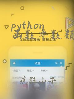 python 函数参数类型