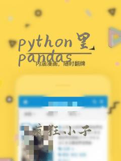 python里pandas