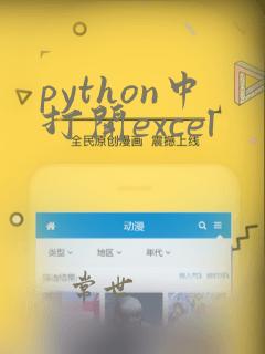python中打开excel