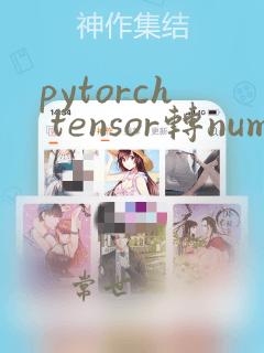 pytorch tensor转numpy
