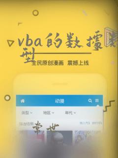 vba的数据类型