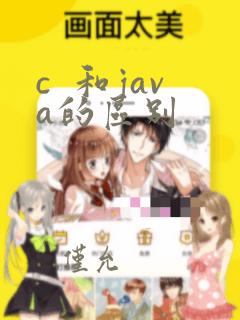 c 和java的区别
