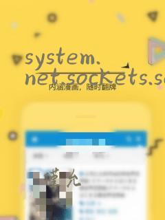 system.net.sockets.socketexception