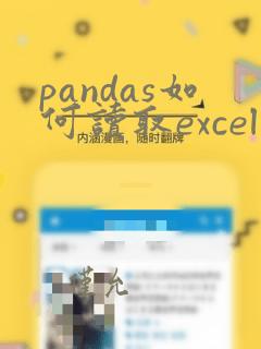 pandas如何读取excel文件