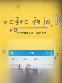 c和c 和java