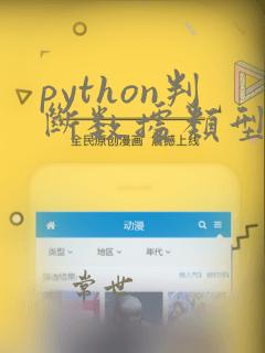python判断数据类型函数
