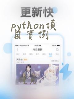 python项目实例
