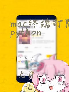 mac终端打开python