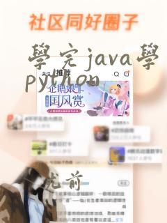 学完java学python