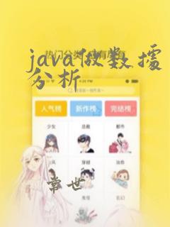 java做数据分析