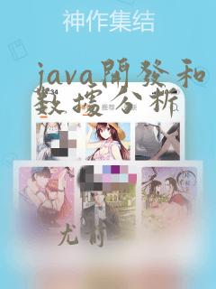 java开发和数据分析