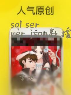 sql server json数据类型