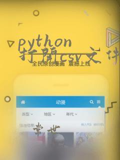 python 打开csv文件
