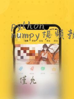 python numpy视频教程