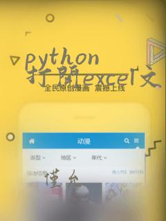 python 打开excel文件