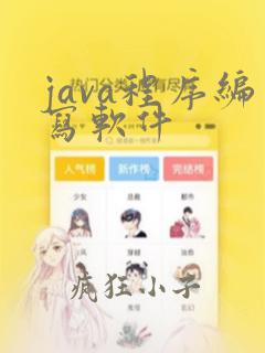 java程序编写软件