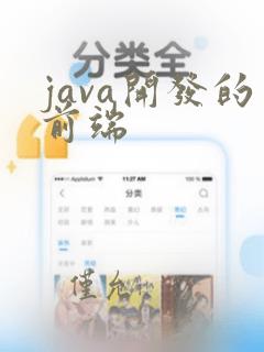 java开发的前端