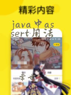 java中assert用法