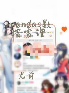 pandas数据处理