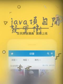 java项目开发实例