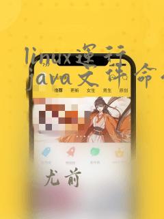 linux运行java文件命令