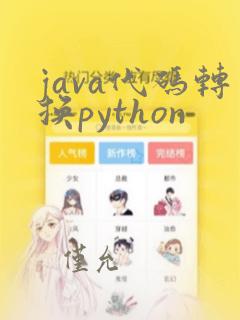 java代码转换python