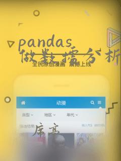 pandas 做数据分析